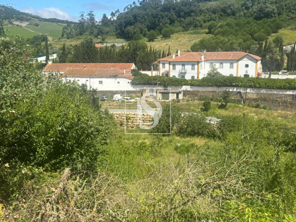 Terreno Misto para Venda em Santo Quintino Foto 13