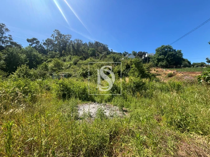 Terreno Misto para Venda em Santo Quintino Foto 18
