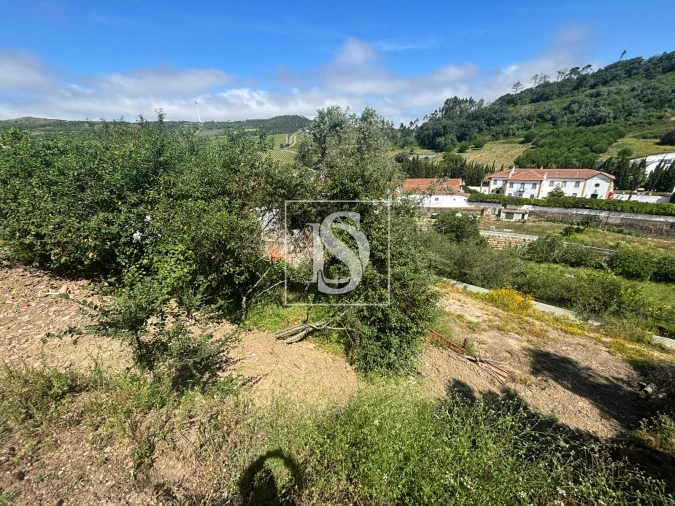Terreno Misto para Venda em Santo Quintino Foto 2