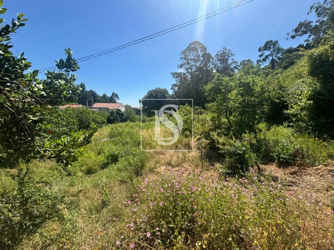 Terreno Misto para Venda em Santo Quintino Foto 16