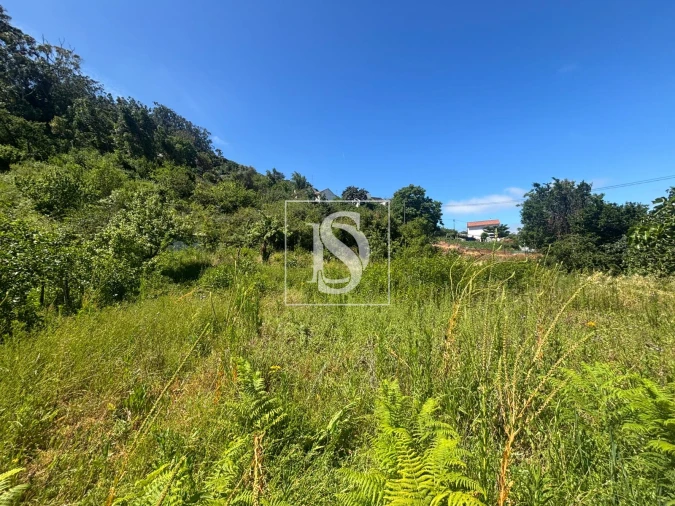 Terreno Misto para Venda em Santo Quintino Foto 9