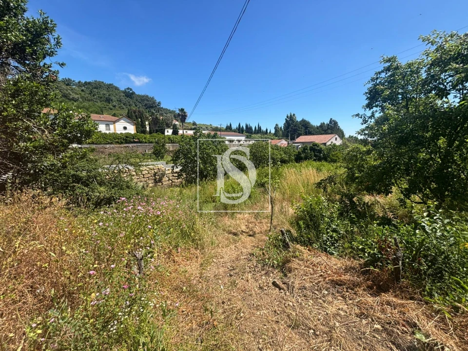 Terreno Misto para Venda em Santo Quintino Foto 6