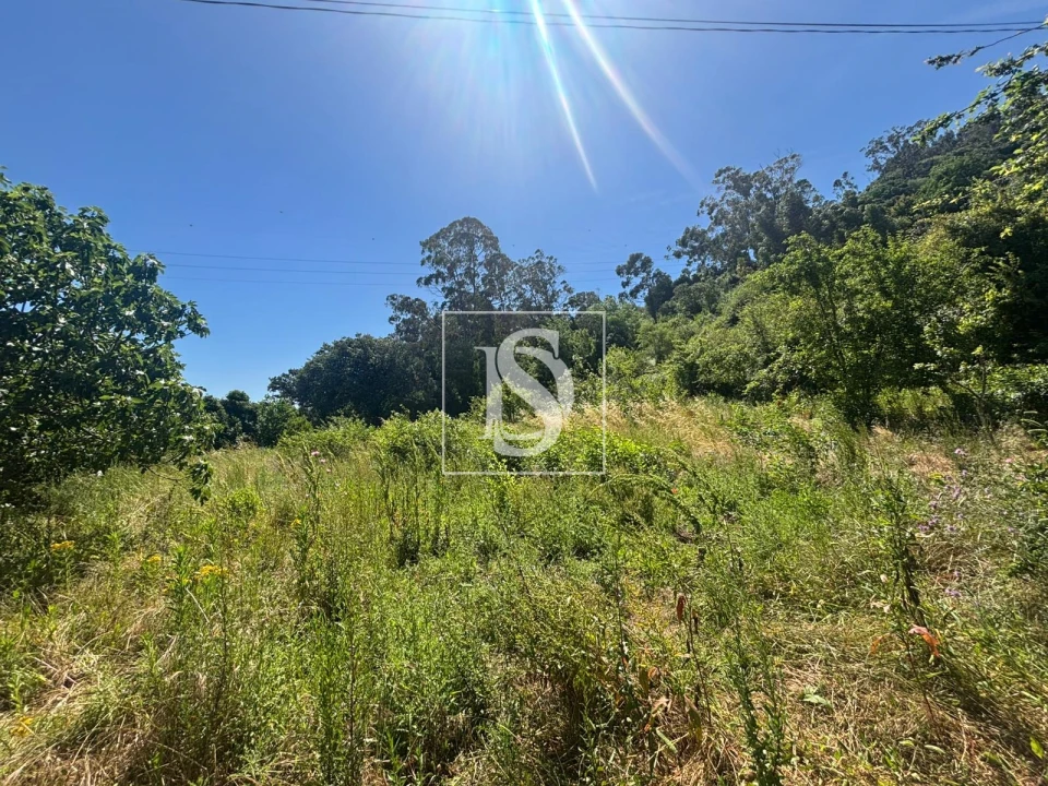 Terreno Misto para Venda em Santo Quintino Foto 26