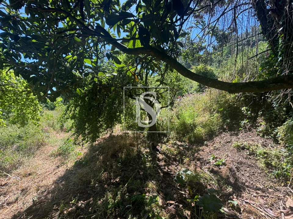 Terreno Misto para Venda em Santo Quintino Foto 12
