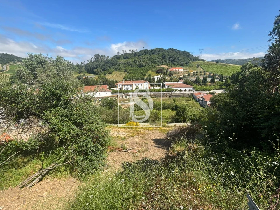 Terreno Misto para Venda em Santo Quintino Foto 14