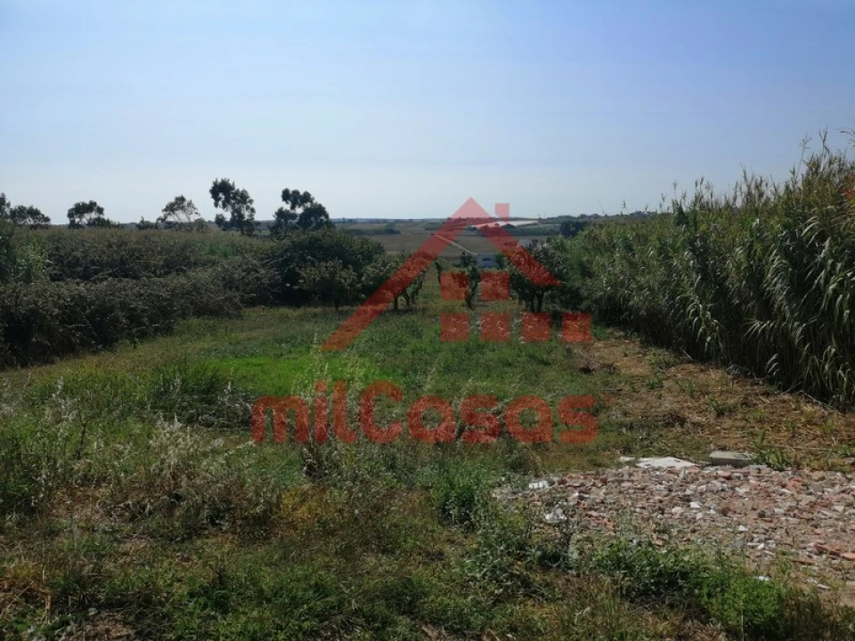 Terreno para Venda em Silveira Foto 2