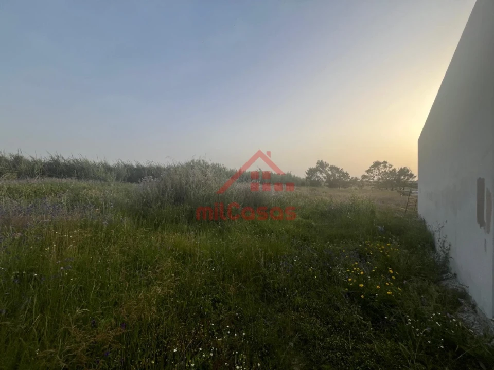 Terreno para Venda em Silveira Foto 1