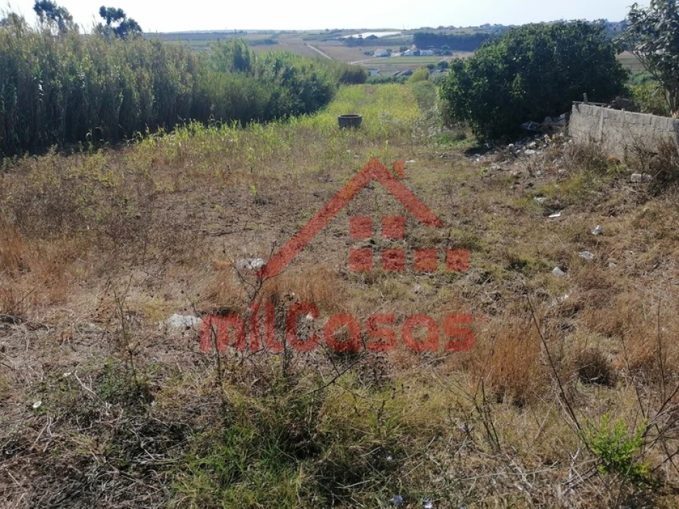 Terreno para Venda em Silveira Foto 7