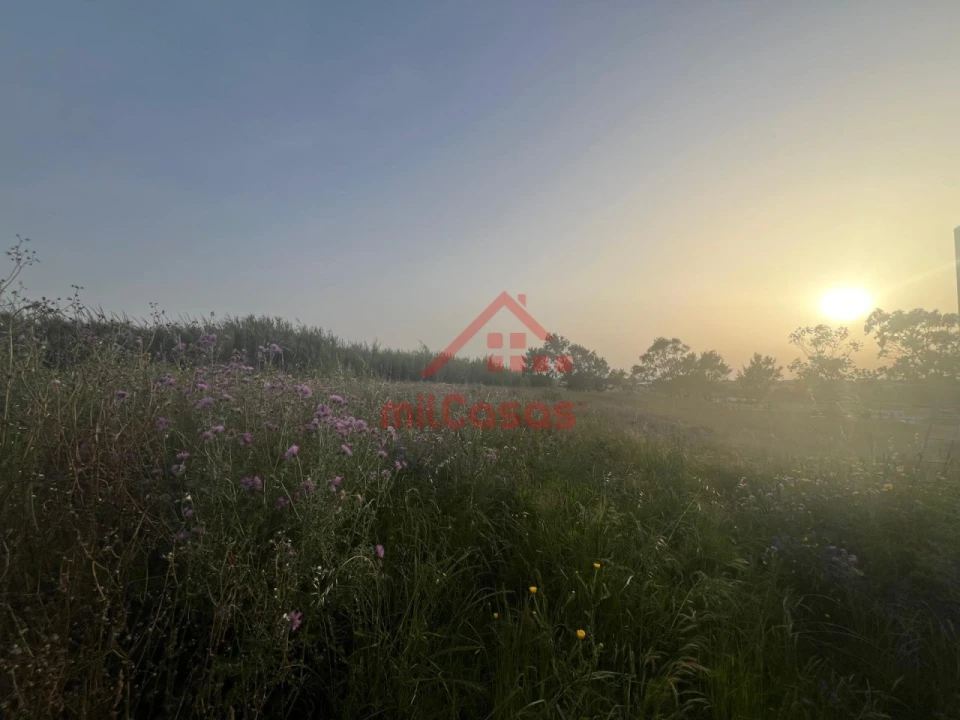 Terreno para Venda em Silveira Foto 11