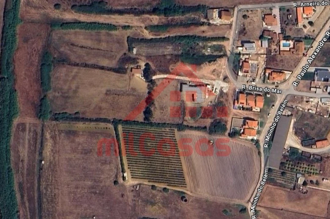 Terreno para Venda em Silveira Foto 14