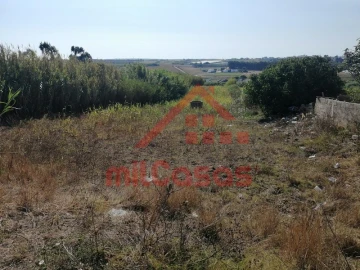 Terreno para Venda em Silveira