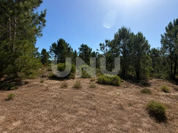 Terreno Agricola ou Rústico para Venda em Azeitão (São Lourenço e São Simão)