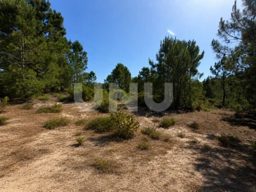 Terreno Agricola ou Rústico para Venda em Azeitão (São Lourenço e São Simão)