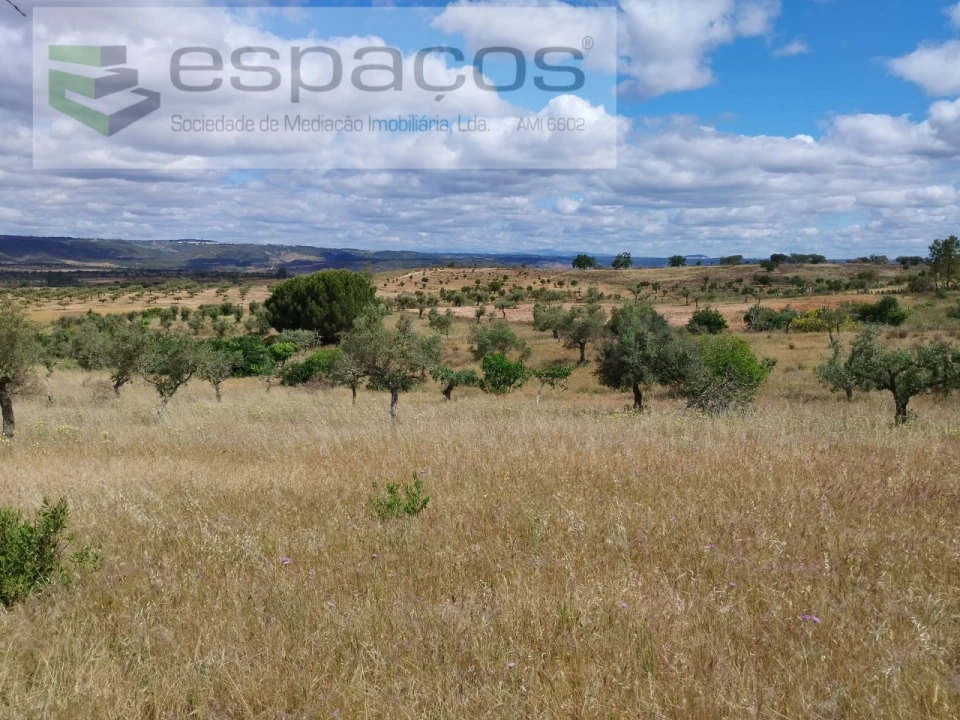 Terreno para Venda em Perais Foto 15