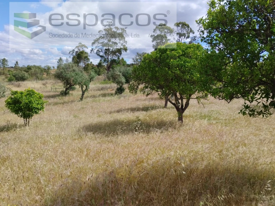 Terreno para Venda em Perais Foto 16