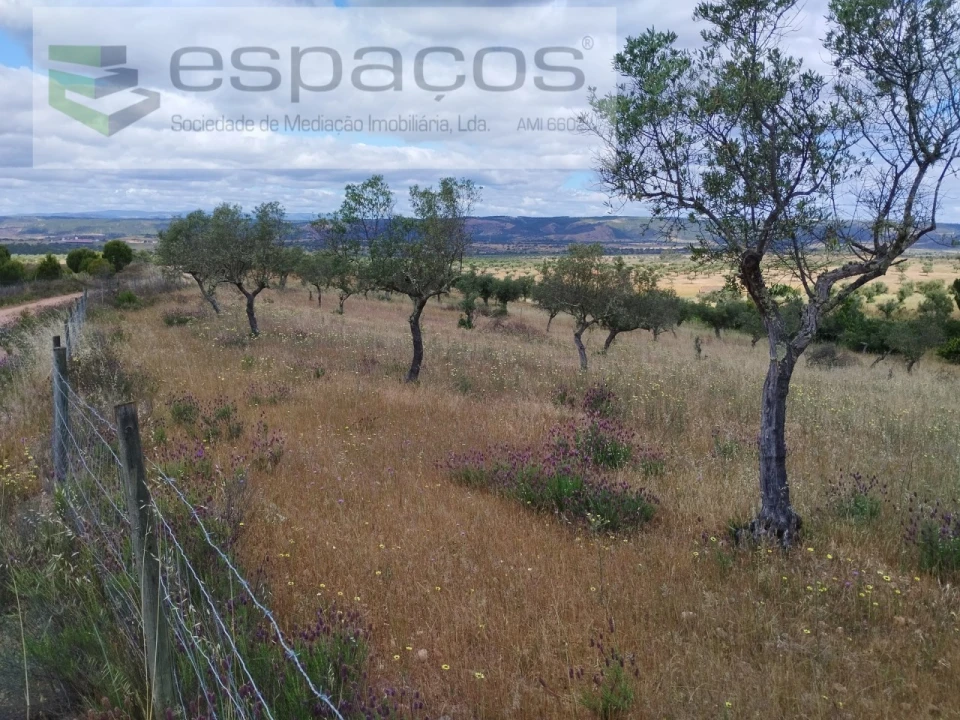 Terreno para Venda em Perais Foto 18