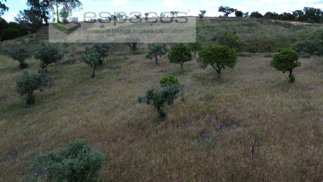 Terreno para Venda em Perais Foto 20