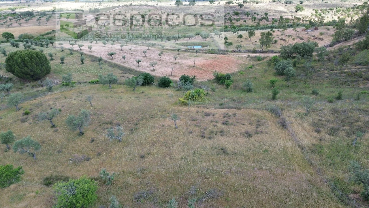 Terreno para Venda em Perais Foto 22