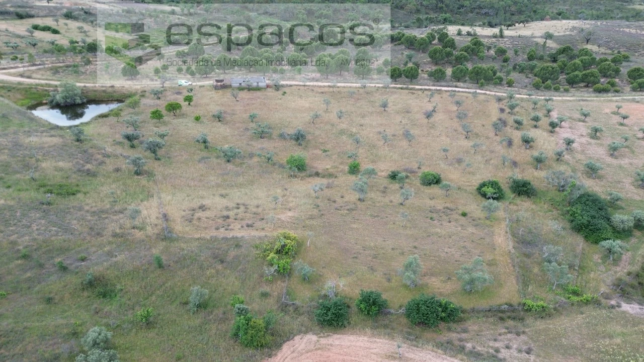 Terreno para Venda em Perais Foto 24