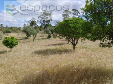 Terreno para Venda em Perais