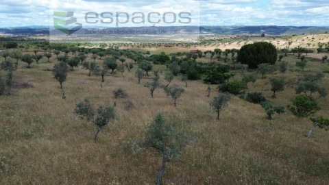 Terreno para Venda em Perais