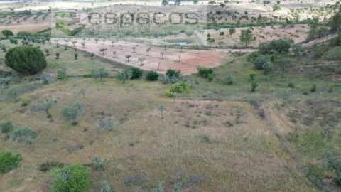 Terreno para Venda em Perais
