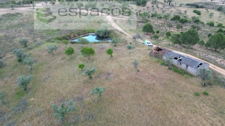 Terreno para Venda em Perais Foto 5