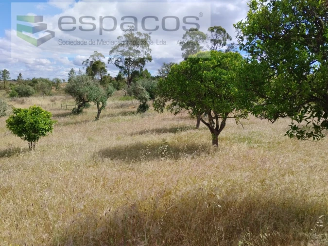 Terreno para Venda em Perais Foto 16