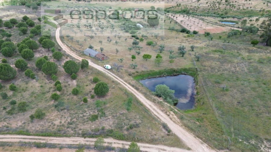 Terreno para Venda em Perais Foto 25