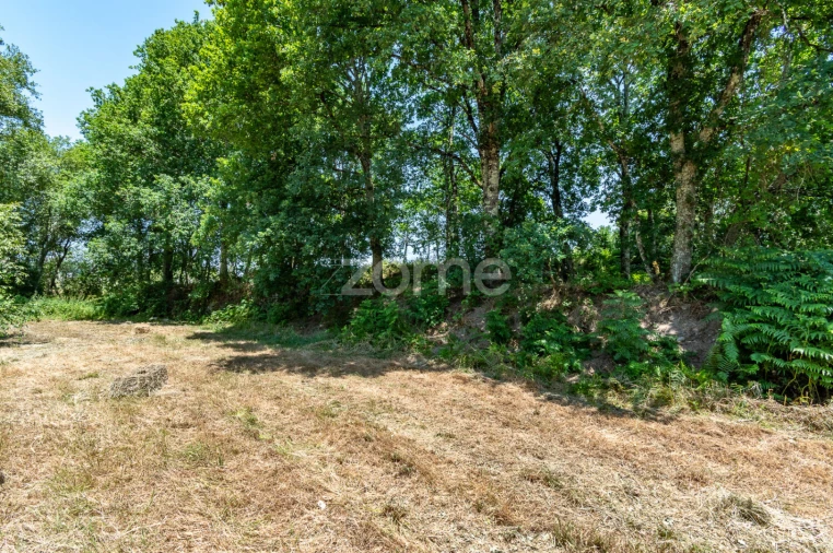Terreno para Venda em Senhorim Foto 14