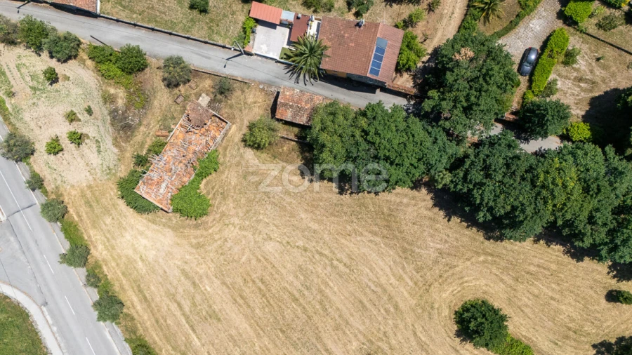 Terreno para Venda em Senhorim