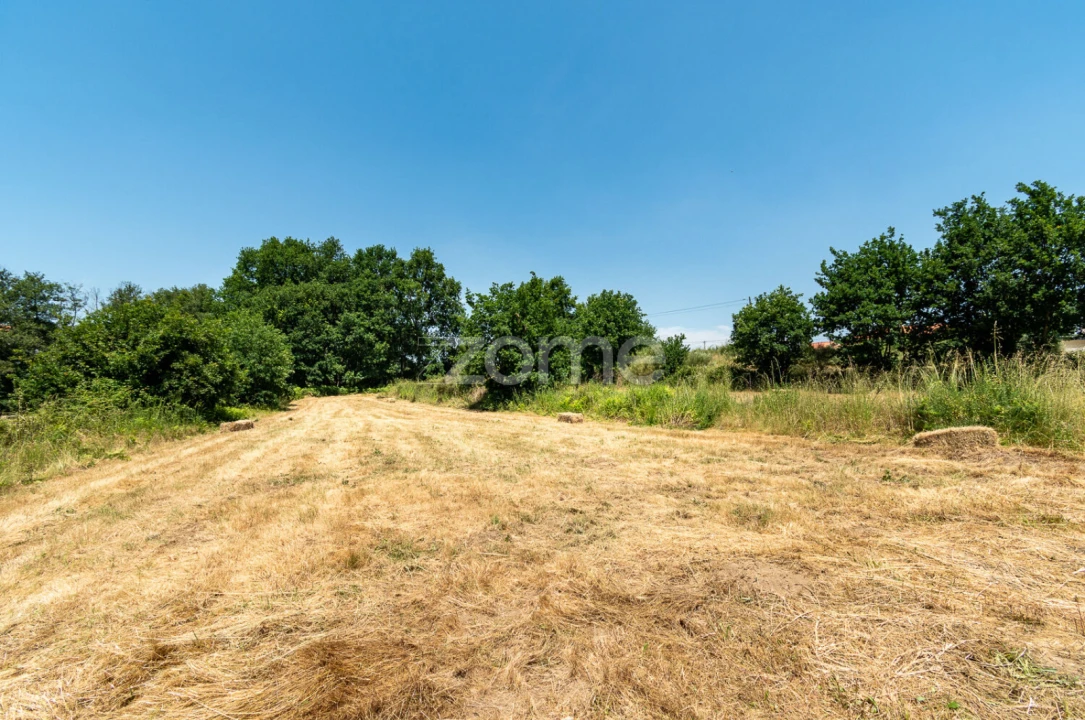 Terreno para Venda em Senhorim Foto 12