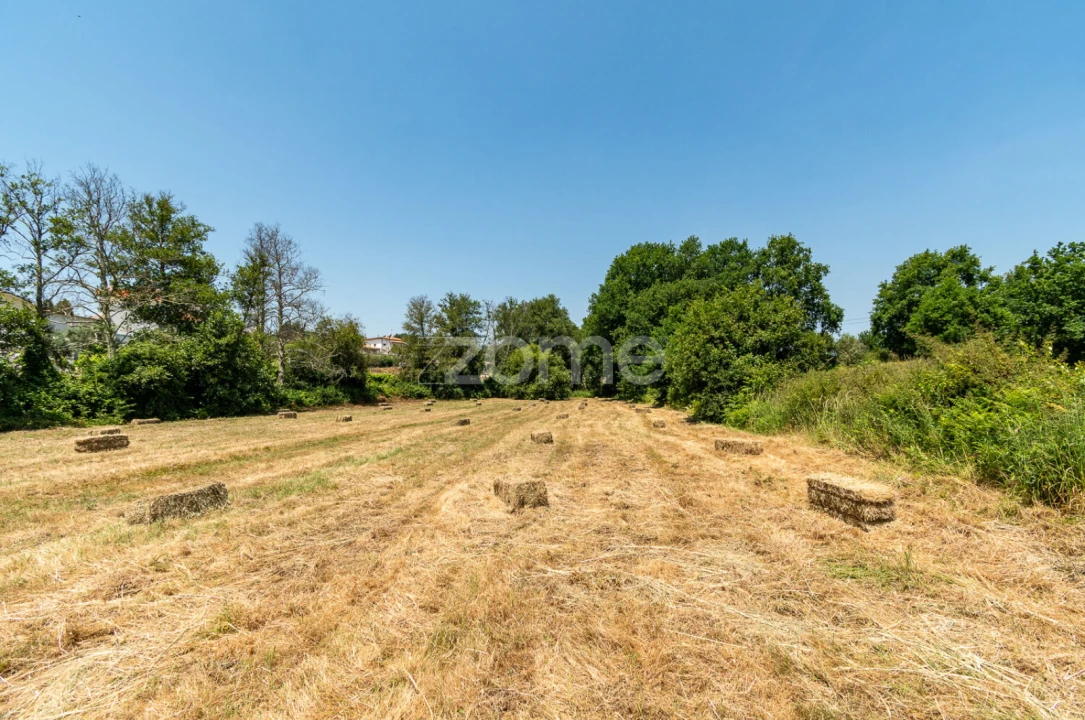 Terreno para Venda em Senhorim Foto 13