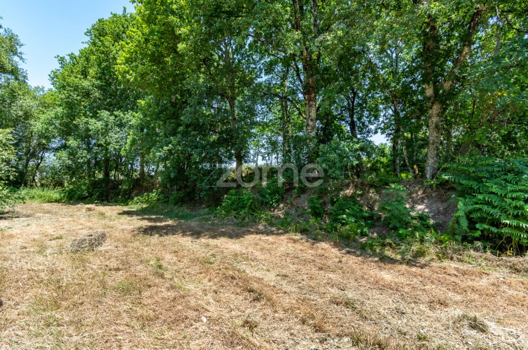 Terreno para Venda em Senhorim Foto 14