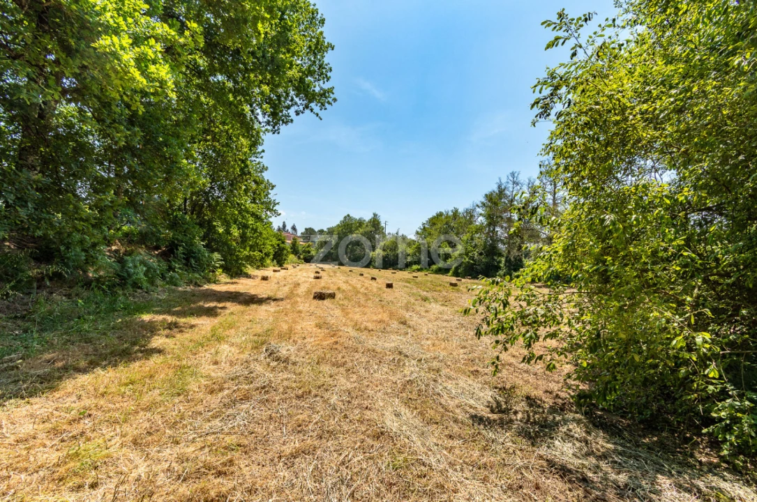 Terreno para Venda em Senhorim Foto 15
