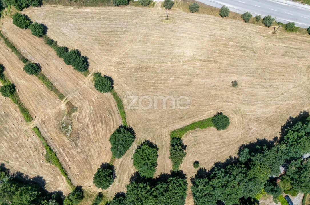 Terreno para Venda em Senhorim Foto 25