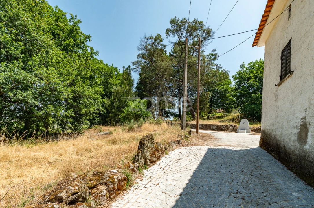 Terreno para Venda em Senhorim Foto 2