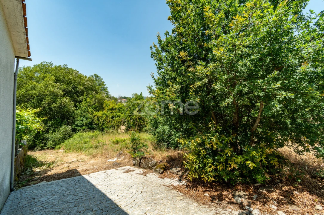 Terreno para Venda em Senhorim Foto 3