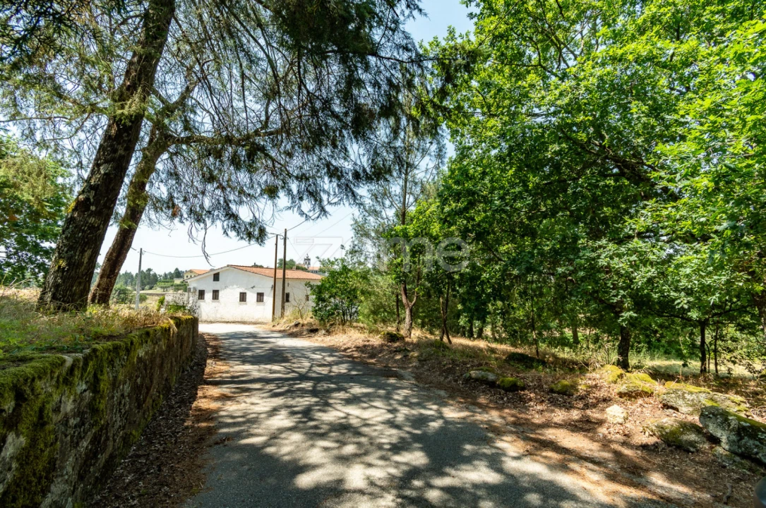 Terreno para Venda em Senhorim Foto 4