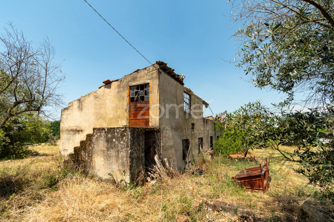 Terreno para Venda em Senhorim Foto 7