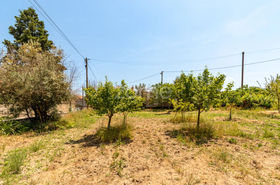 Terreno para Venda em Senhorim Foto 8