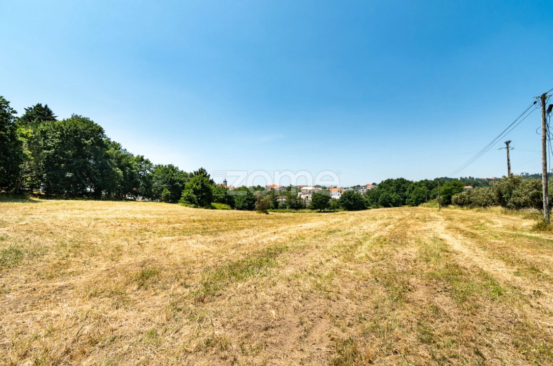 Terreno para Venda em Senhorim Foto 9