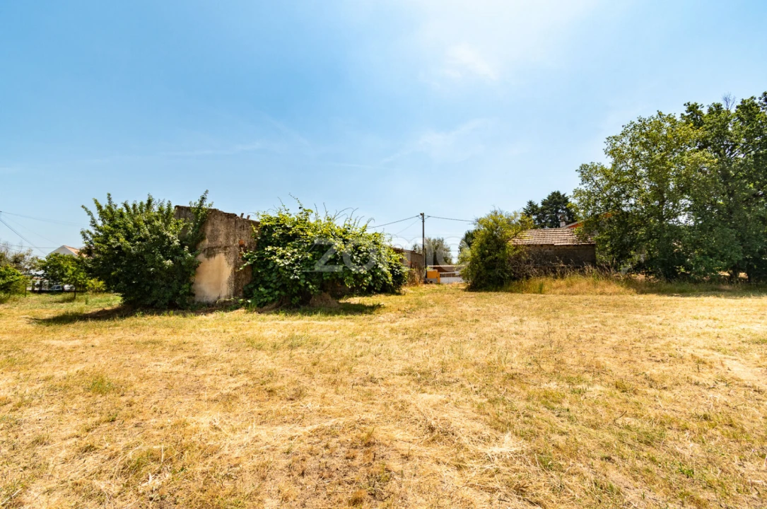 Terreno para Venda em Senhorim Foto 10