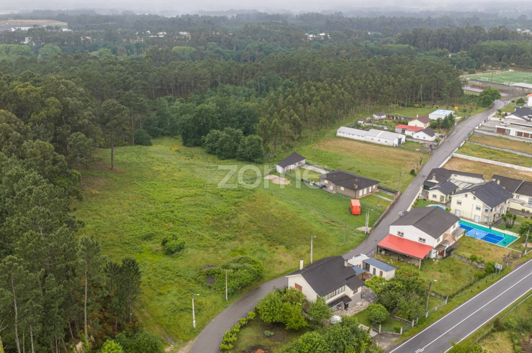 Terreno para Venda em São Pedro da Torre Foto 4