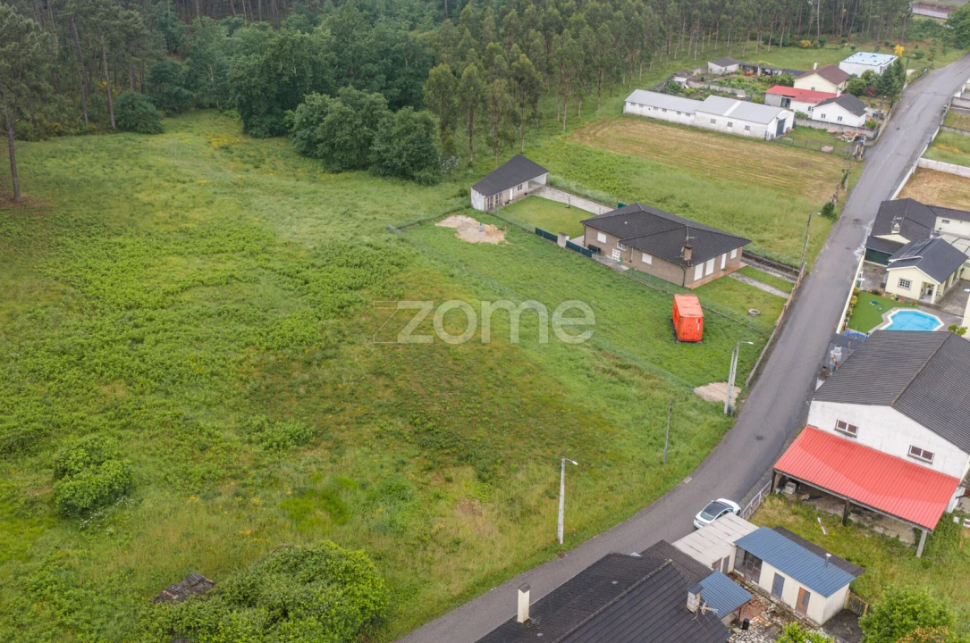Terreno para Venda em São Pedro da Torre Foto 6