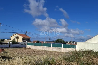 Terreno para Venda em Santa Maria e São Miguel, São Martinho, São Pedro Penaferrim