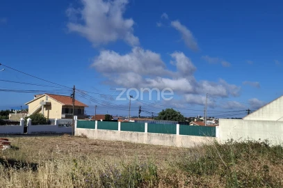 Terreno para Venda em Santa Maria e São Miguel, São Martinho, São Pedro Penaferrim