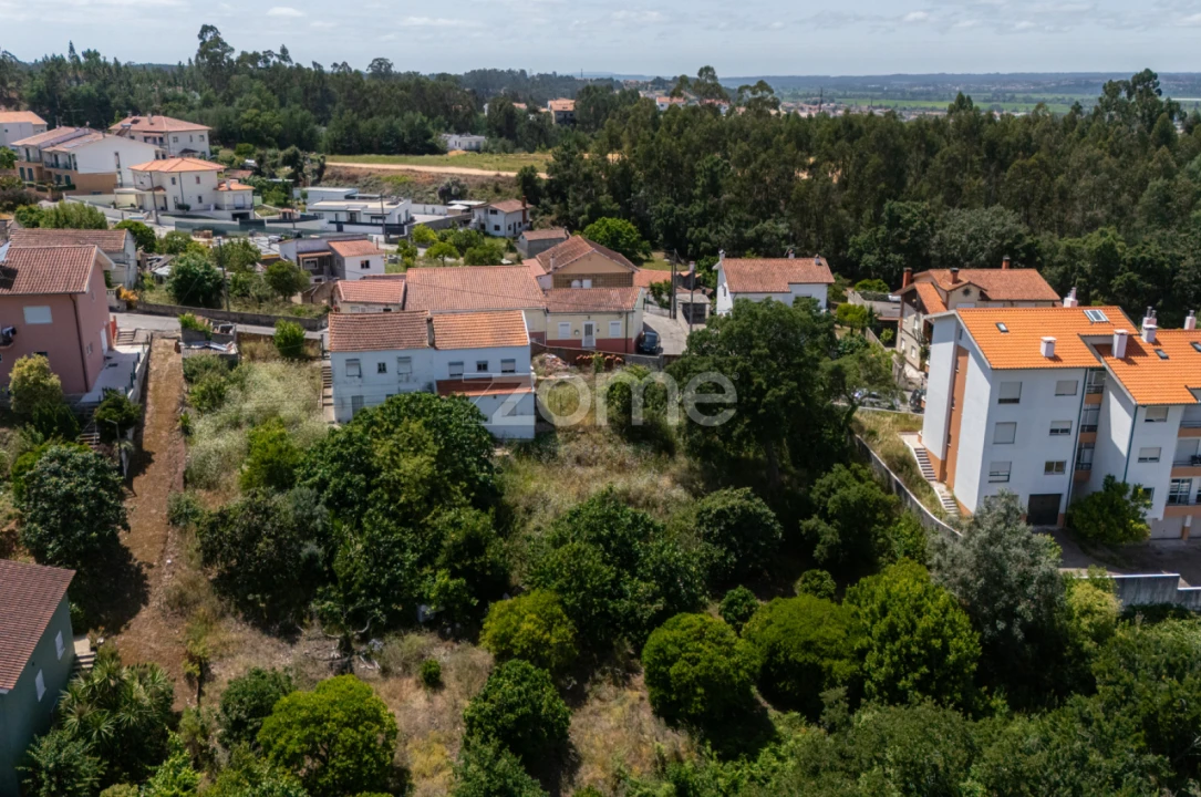 Terreno para Venda em São Martinho do Bispo e Ribeira de Frades Foto 9