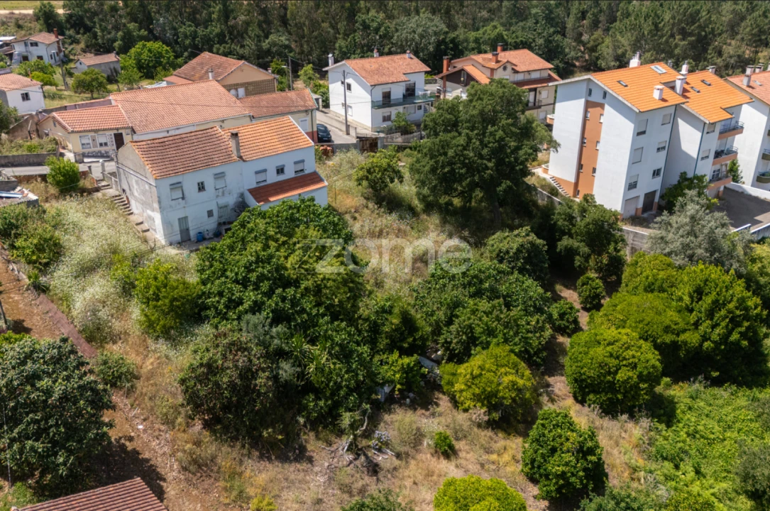 Terreno para Venda em São Martinho do Bispo e Ribeira de Frades Foto 11