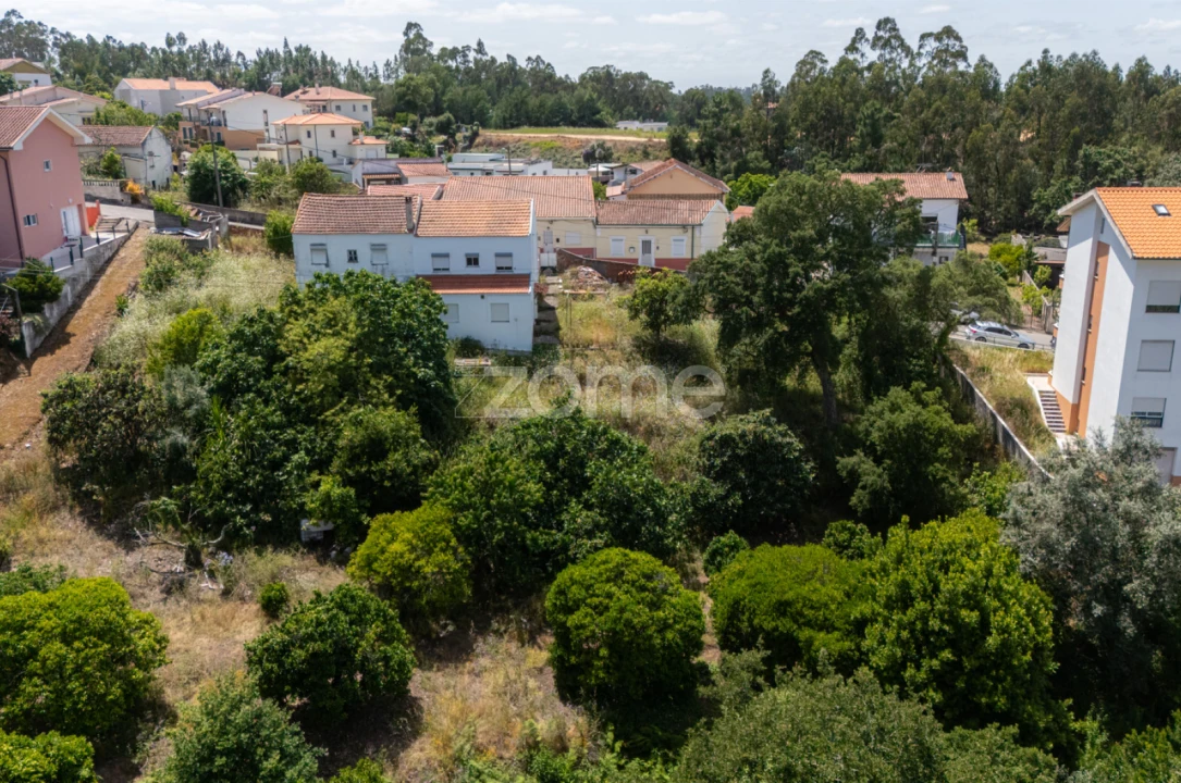 Terreno para Venda em São Martinho do Bispo e Ribeira de Frades Foto 13